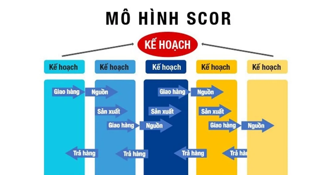 Ứng dụng chuỗi cung ứng SCOR cho doanh nghiệp Việt Nam chuỗi cung ứng scor hỗ trợ quản trị logistics tại Việt Nam