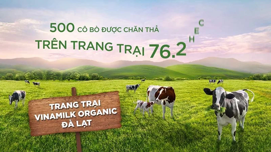 hệ thống logistics trong chuỗi cung ứng sữa
