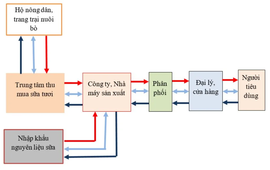 sơ đồ chuỗi cung ứng sữa từ trang trại đến người tiêu dùng