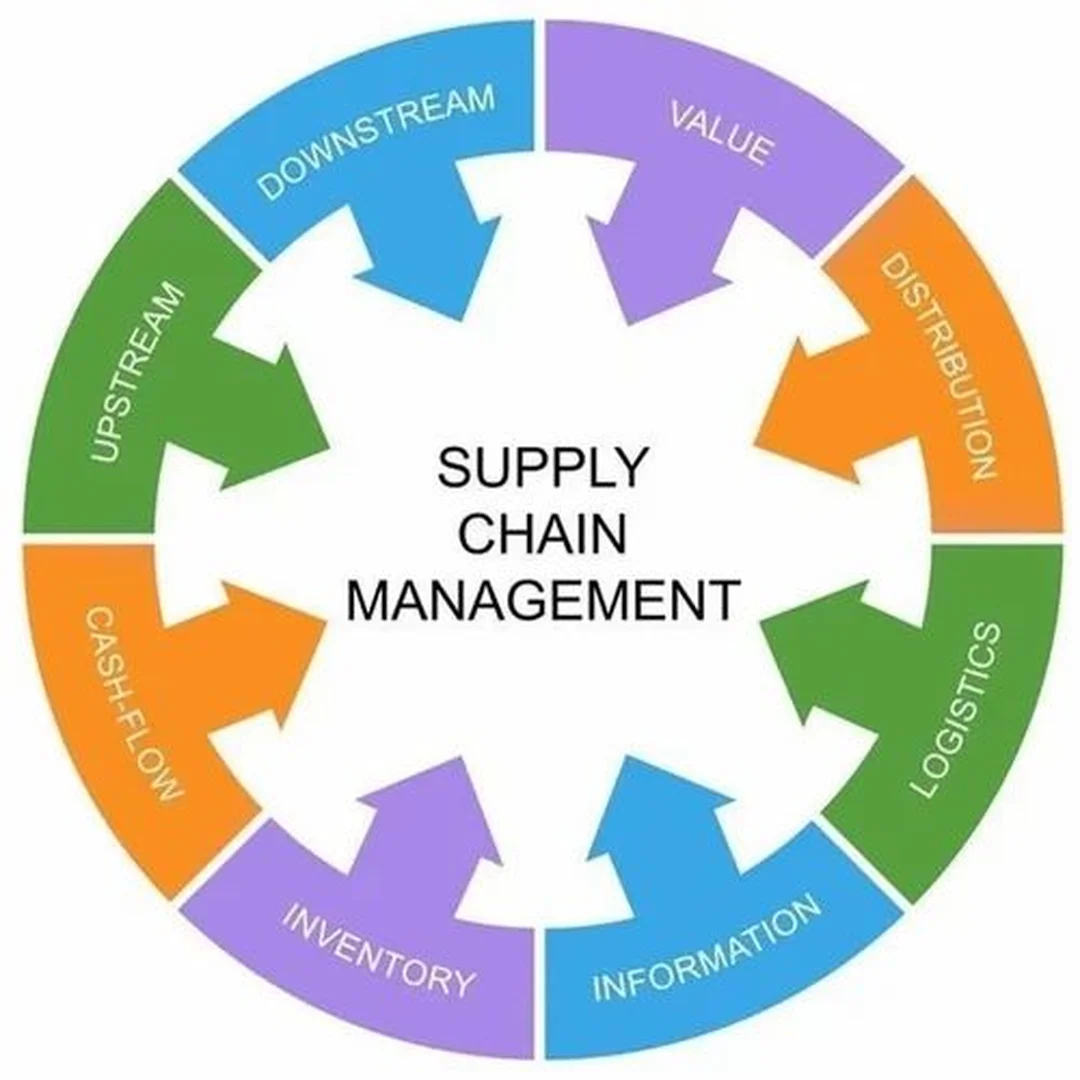 supply chain management consulting chẩn đoán dữ liệu supply chain management consulting dùng bảng chẩn đoán dữ liệu vận hành kho vận
