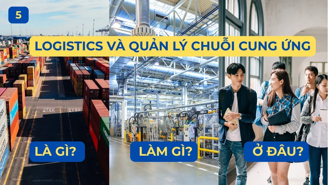 Video giới thiệu logistics và quản lý chuỗi cung ứng